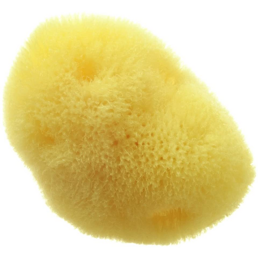 Hydrea London - Natural Sea Sponge - Premium Fine Silk Sea Sponge - 2-2.5" (For Cosmetic or Baby use)